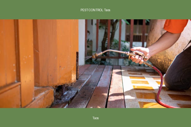 PEST CONTROL Taos